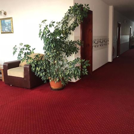 Pension Rozeclas Oradea Bagian luar foto