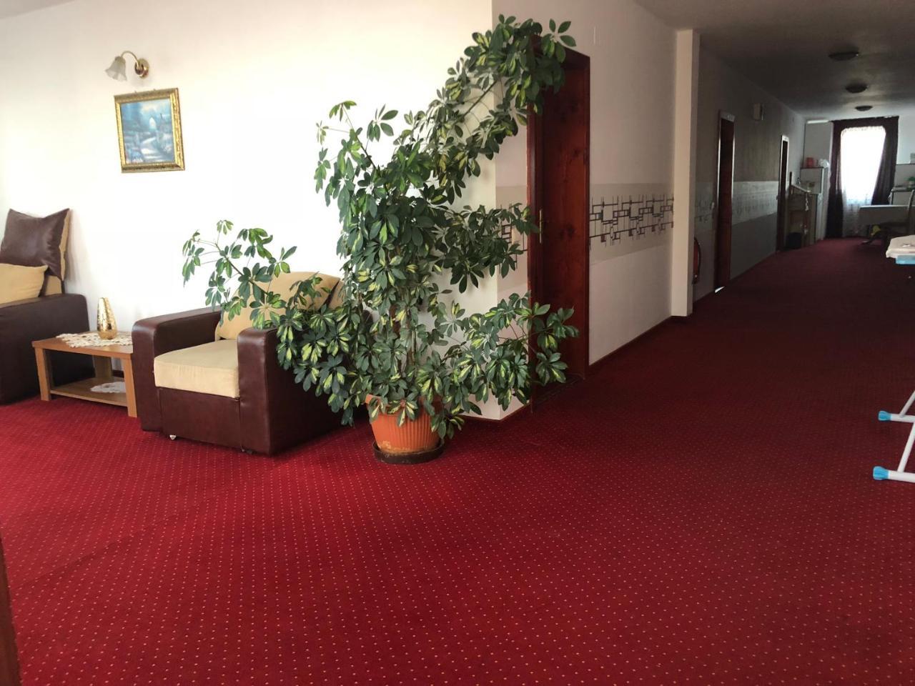 Pension Rozeclas Oradea Bagian luar foto
